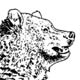 Memos from Bear Cave: General Complaints