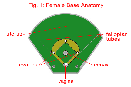 what is first second and third base in a relationship